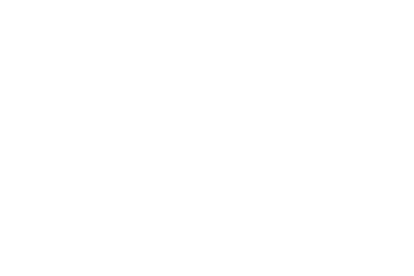 capital-one